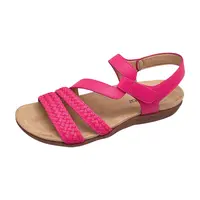 Plato Fucshia Plato Fucshia