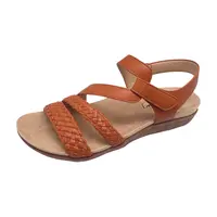 Plato Brown Plato Brown